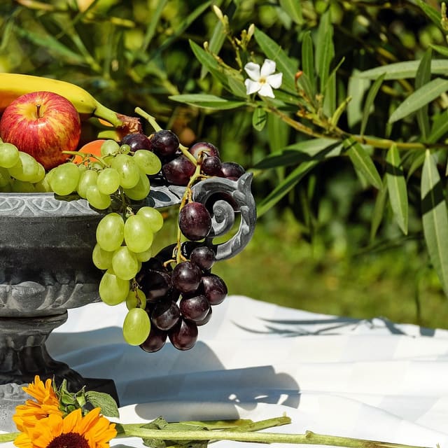 Food jigsaw puzzles for kids